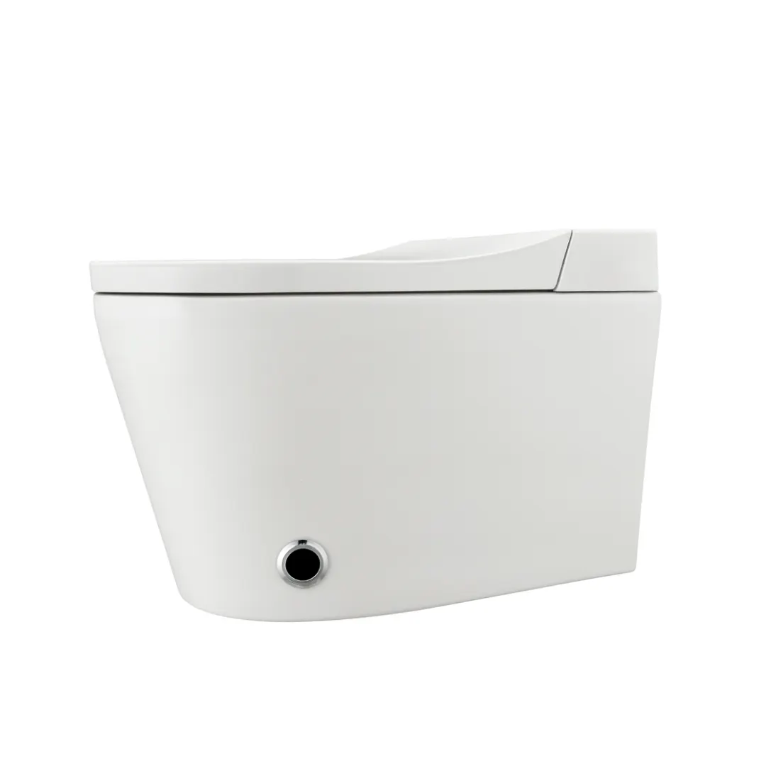 Sanitario aéreo Inteligente