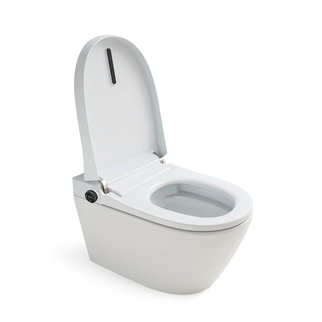 Sanitario aéreo Inteligente - Imagen 3