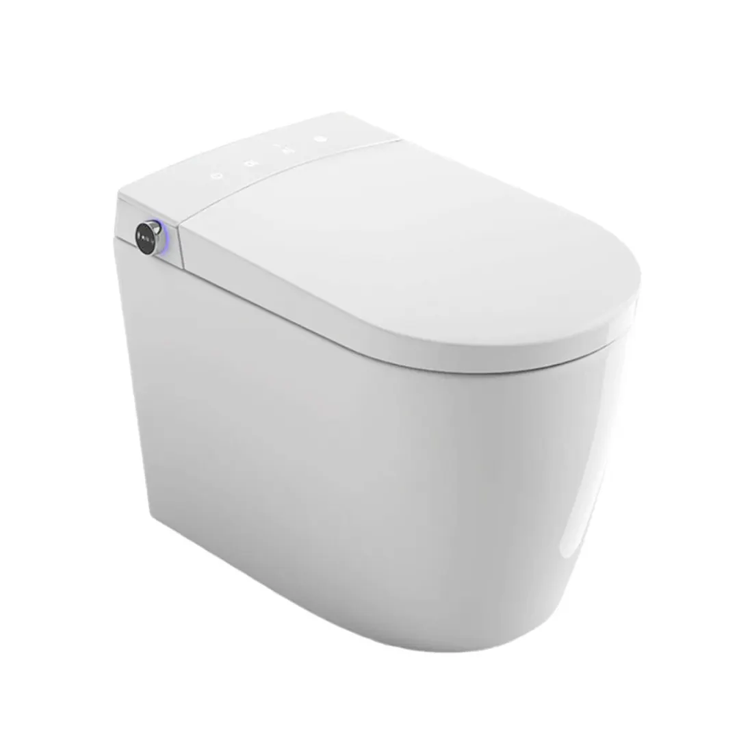 Sanitario aéreo Inteligente - Imagen 2